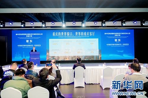 重庆渝中建设国际货代集聚区核心区 力争到2027年进出口额突破100亿元