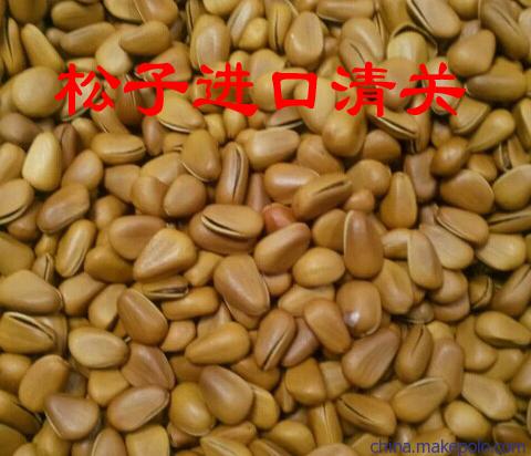 开心果夏威夷果整柜美国坚果进口清关代理