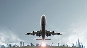 加拿大国际空运运输清关代理